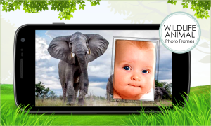 wildlife-animal-photo-frames-aim-entertainments-screenshot-4